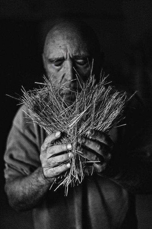 pavel  фото превью