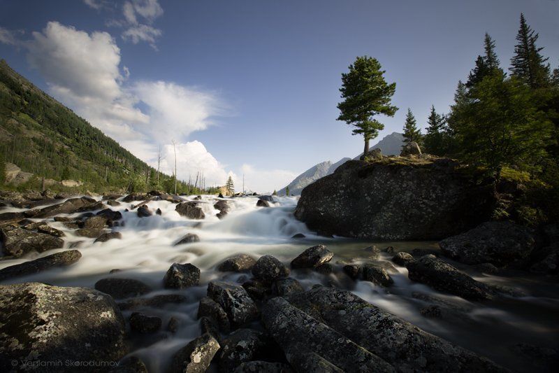 Шумы фото превью