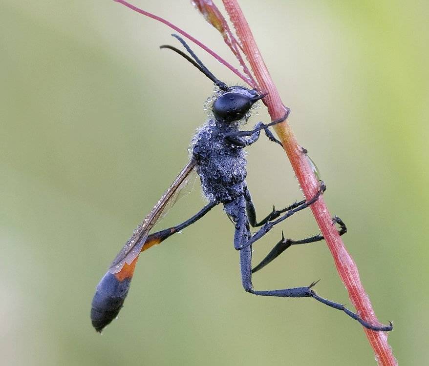 , Андрей Канышев