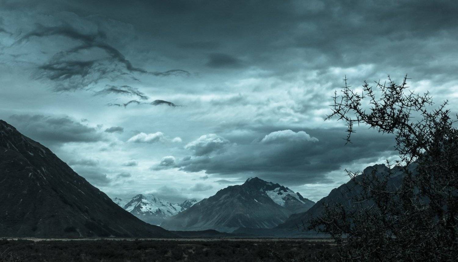 , Надежда Звягина / New Zealand