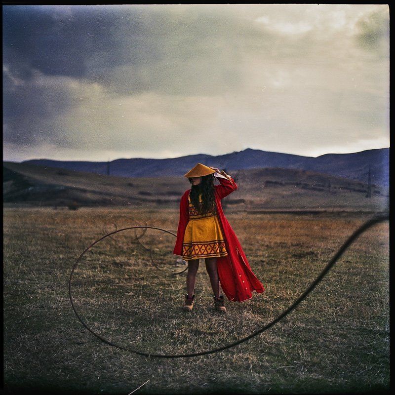 colory dream фото превью