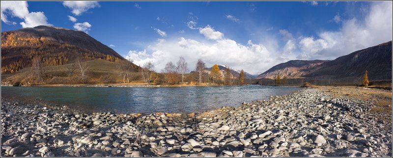 золотая, осень, горный, алтай, стыврин, андрей Золотая осень фото превью