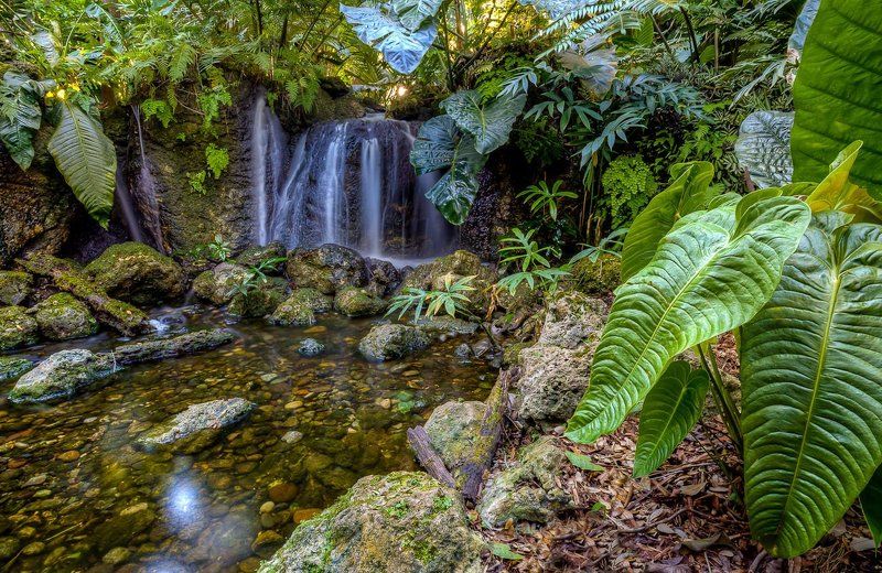 Tropical waterfall фото превью