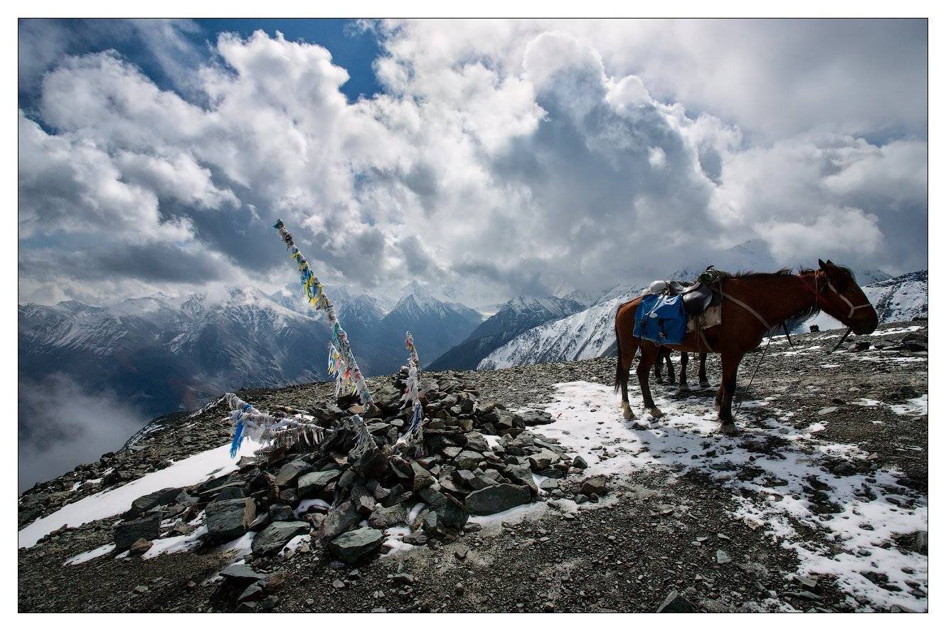 , Владимир Ляпин