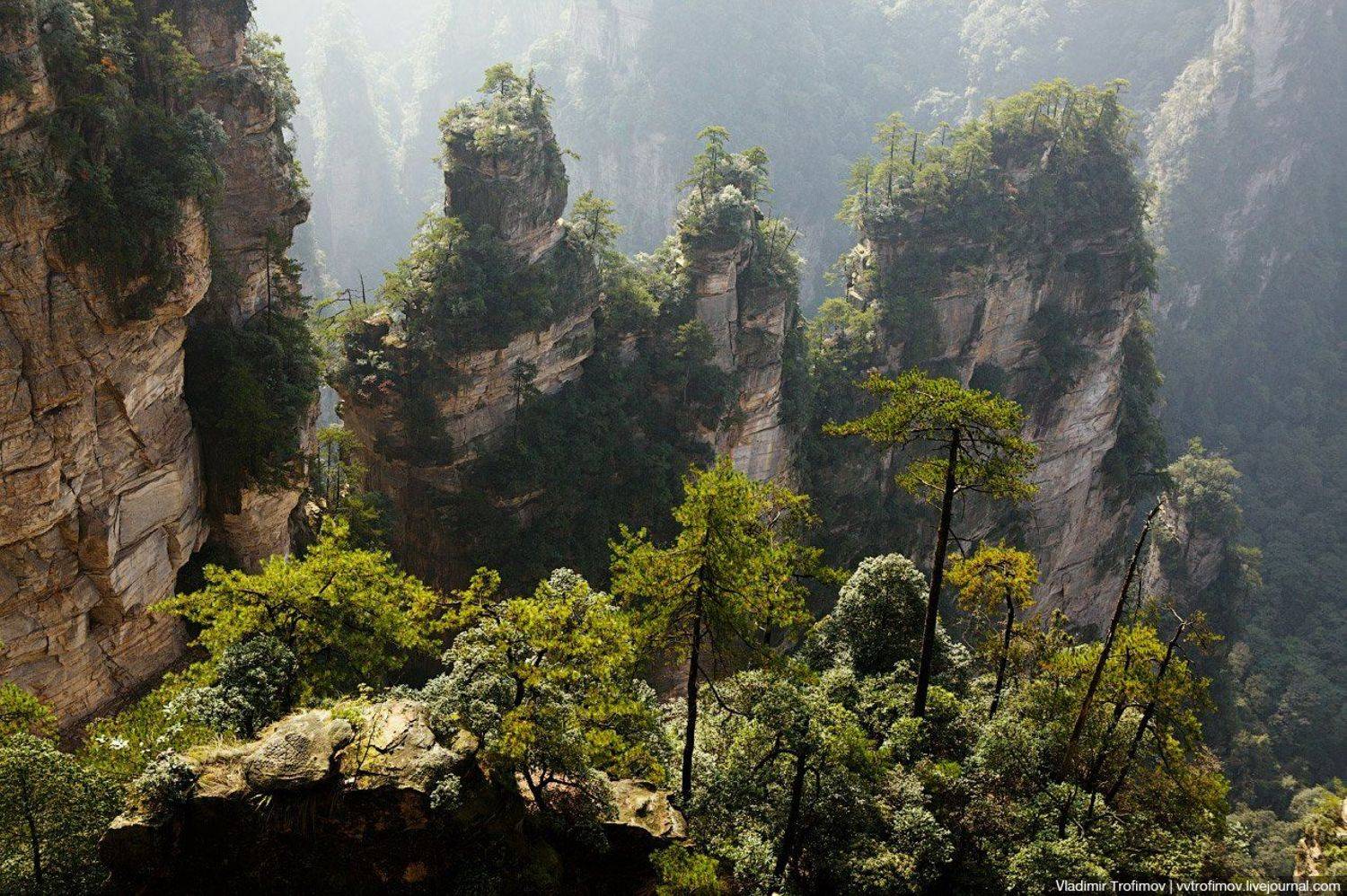 zhangjiajie, china, Vladimir Trofimov