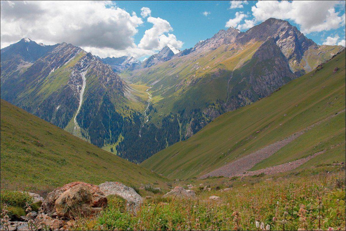 , Вадим Никифоров