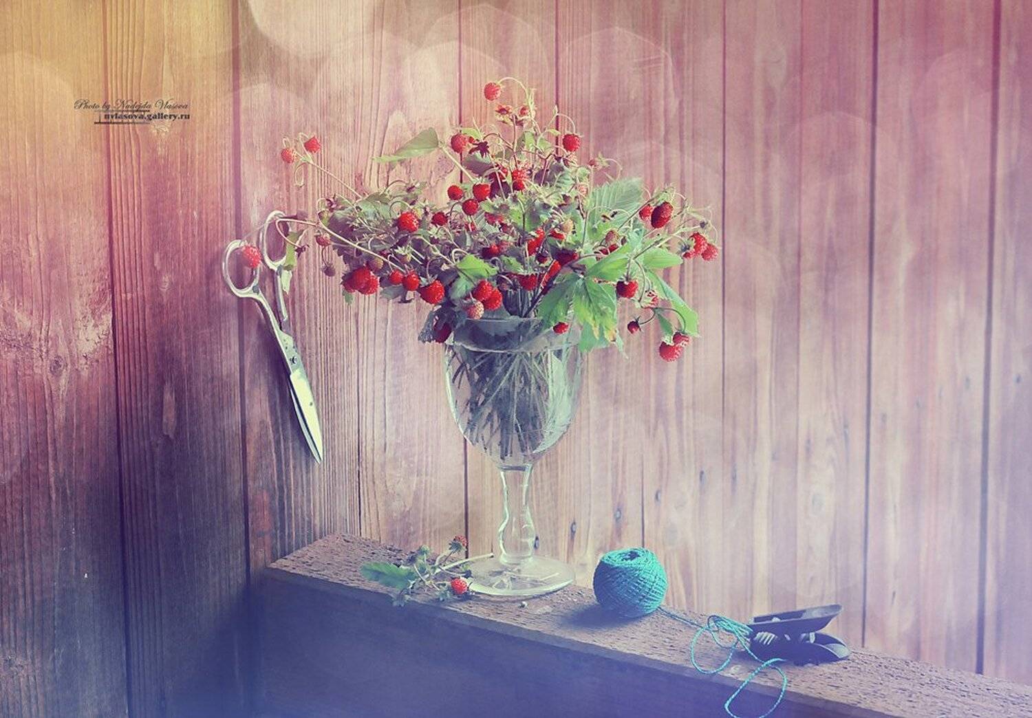 , Надежда Власова