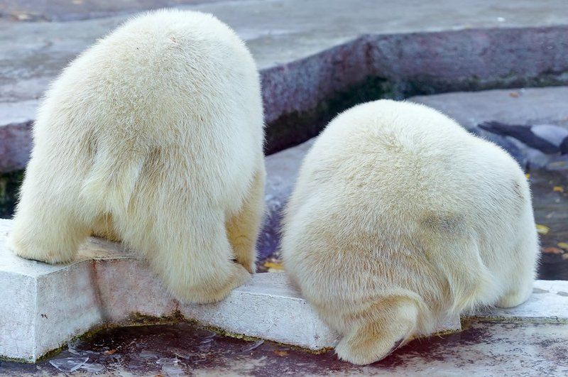 Упс...:-) фото превью