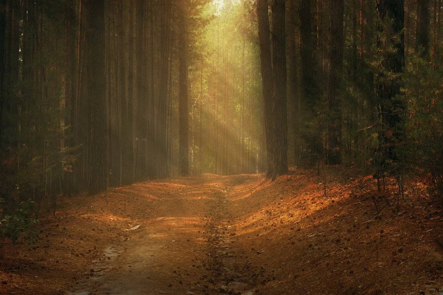 , Наборщиков Иван