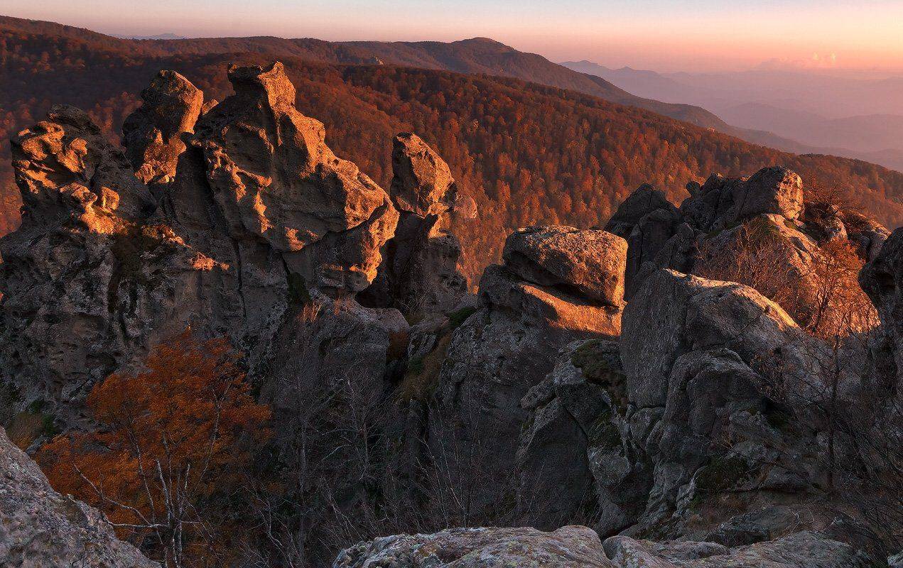 , Ирина Заграничная