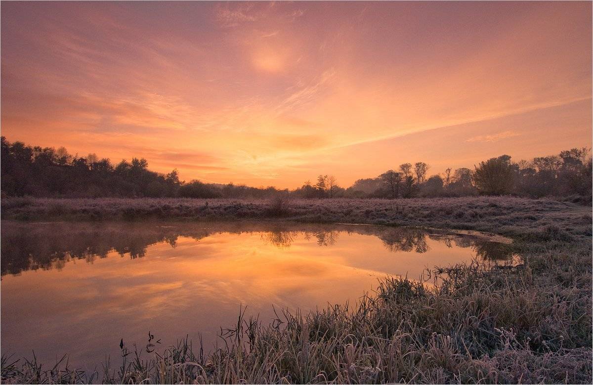 , Николай Шахманцир