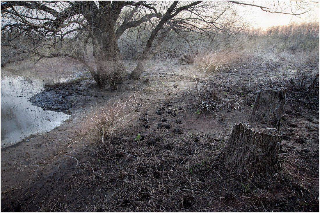 , Кутыгин Эдуард