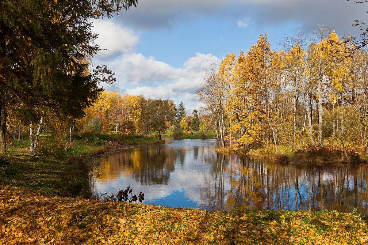 осень, парк, Алексей