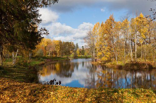Просто осень.
