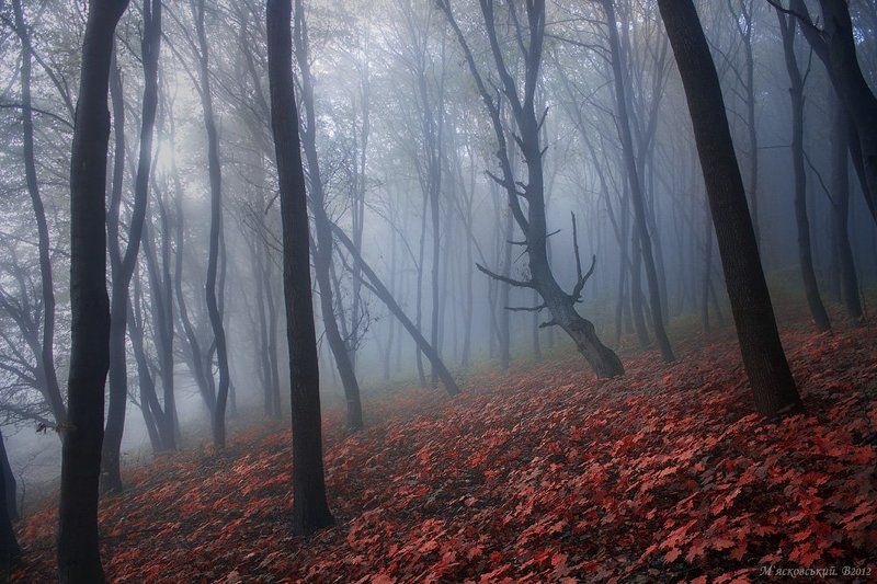 *** фото превью