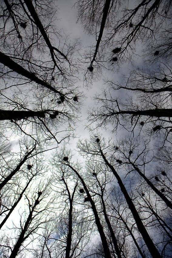 , ИГОРЬ МЕЛЬНИКОВ