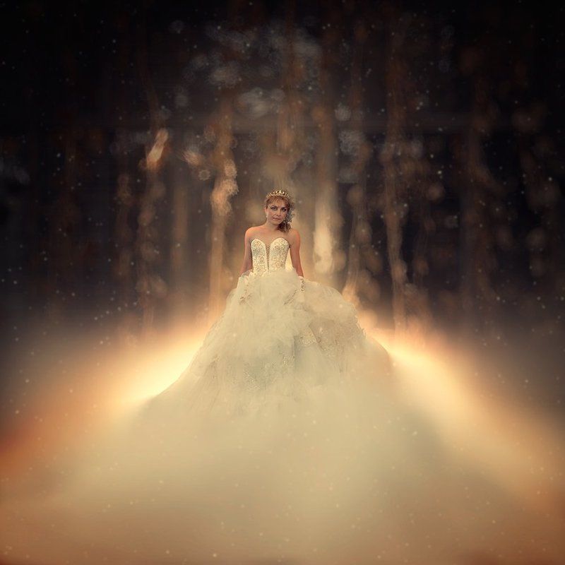 Winter bride фото превью