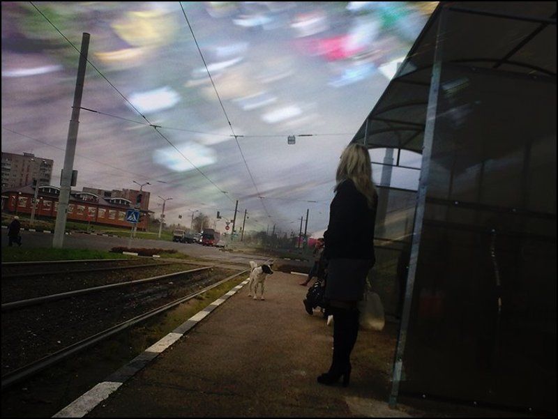 ... фото превью