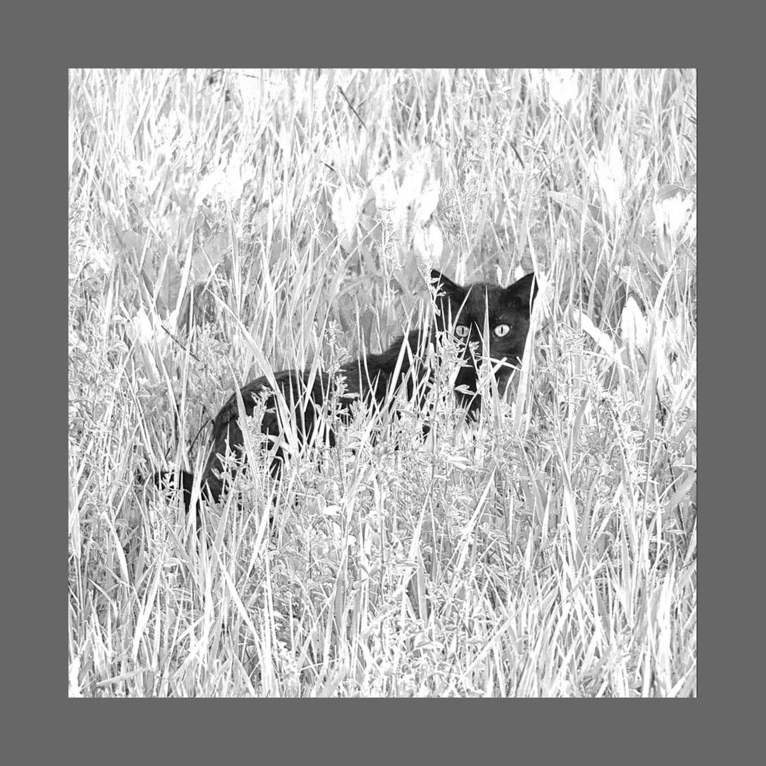 , Радковская Наталья