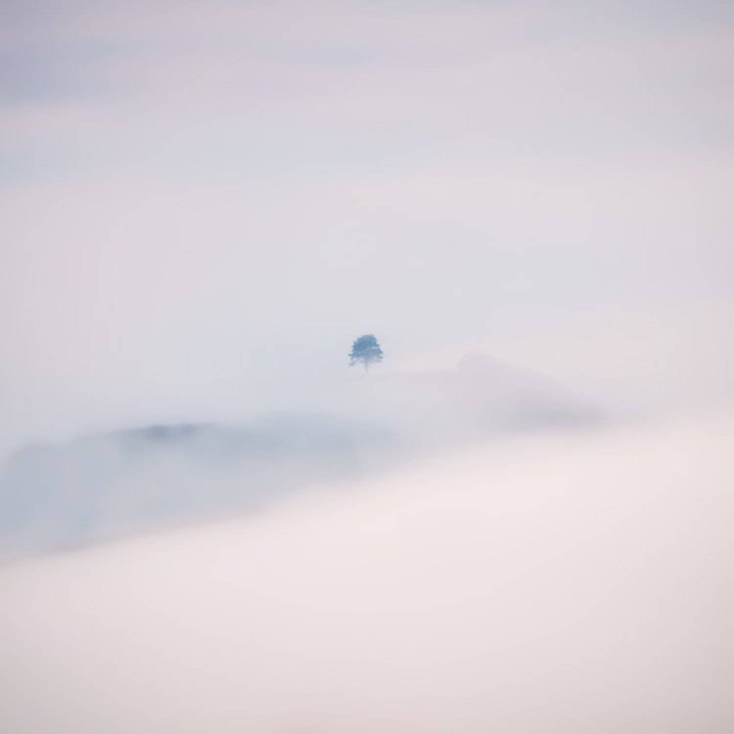 , Денис Кривой