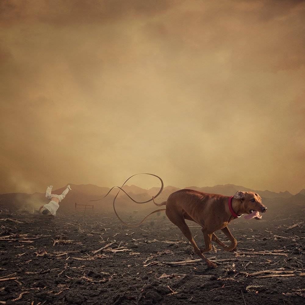, Caras Ionut