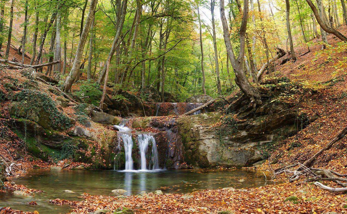 , Виталий Ра