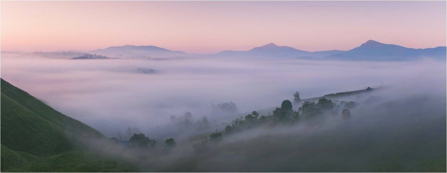 , Денис Кривой