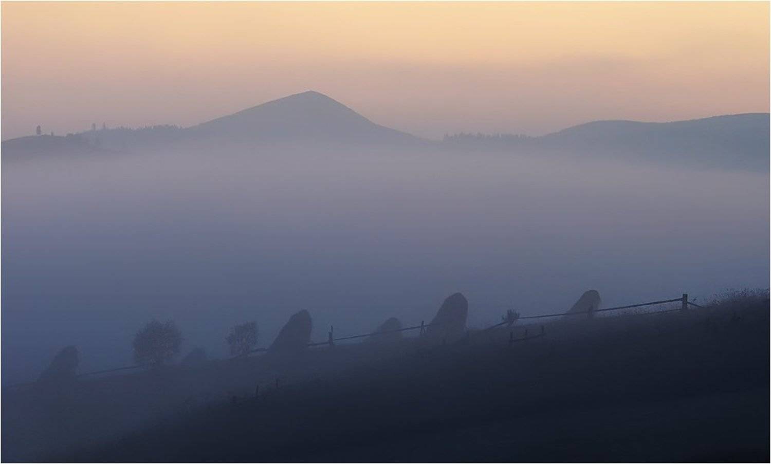 , Денис Кривой