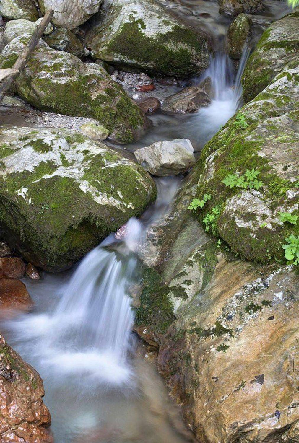 , Марченко Дмитрий