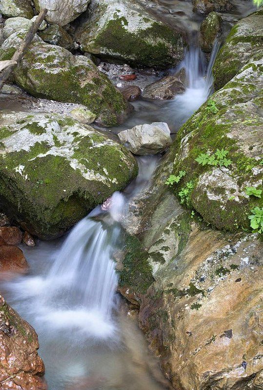 *** фото превью