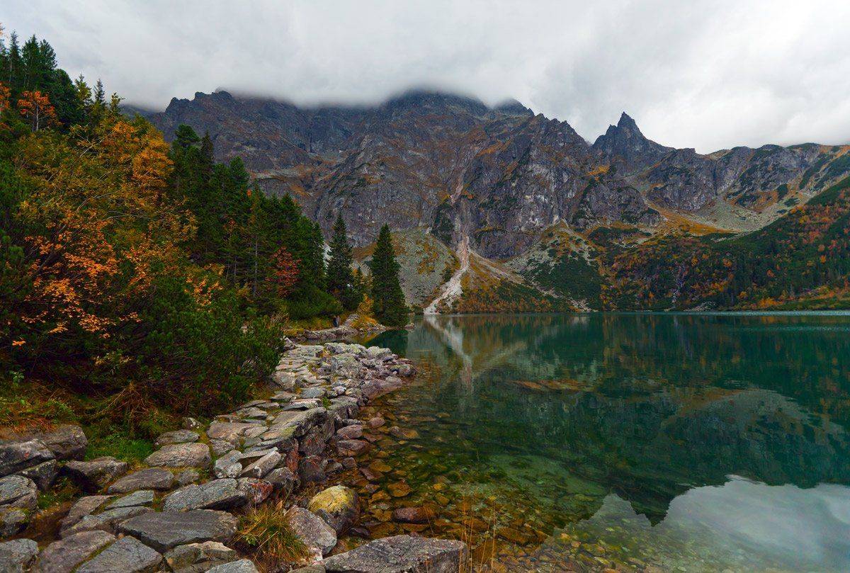 , Людмила Прокофьева