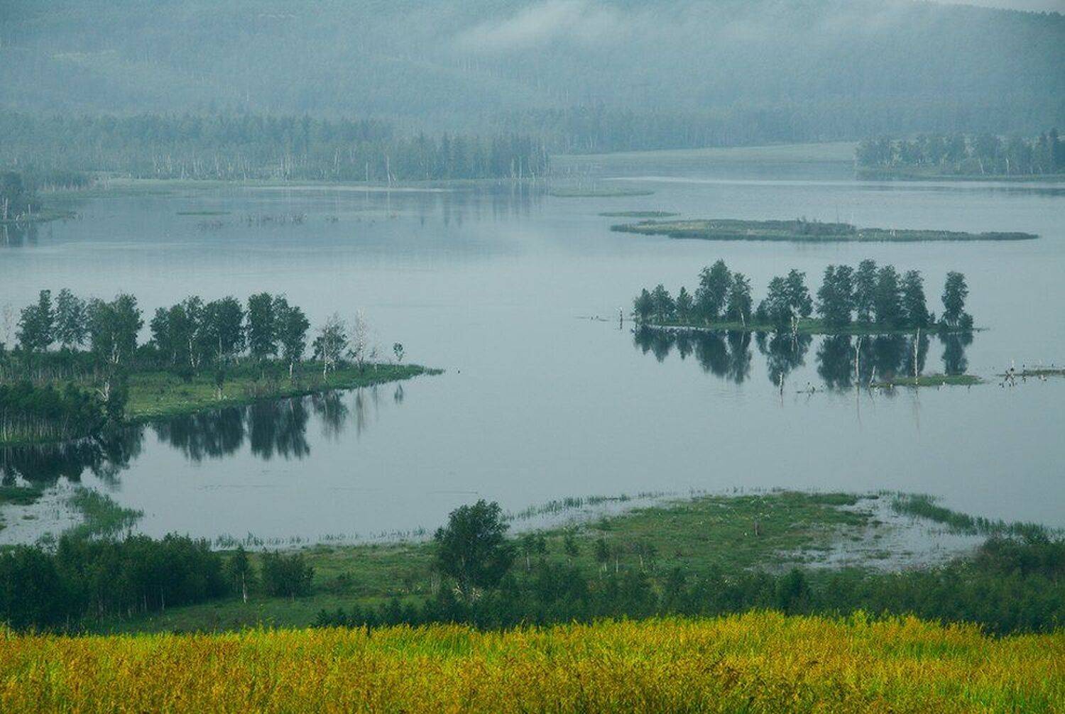 , Николай Морский