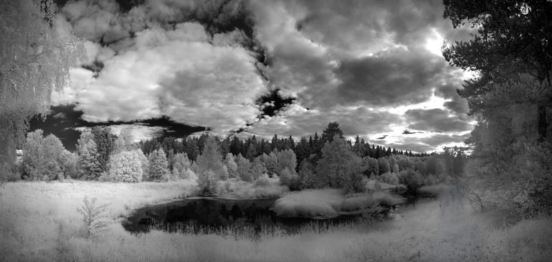 Пружонка. фото превью