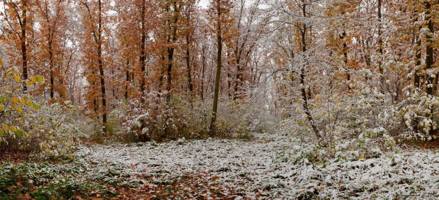 , Любомир Тригубишин