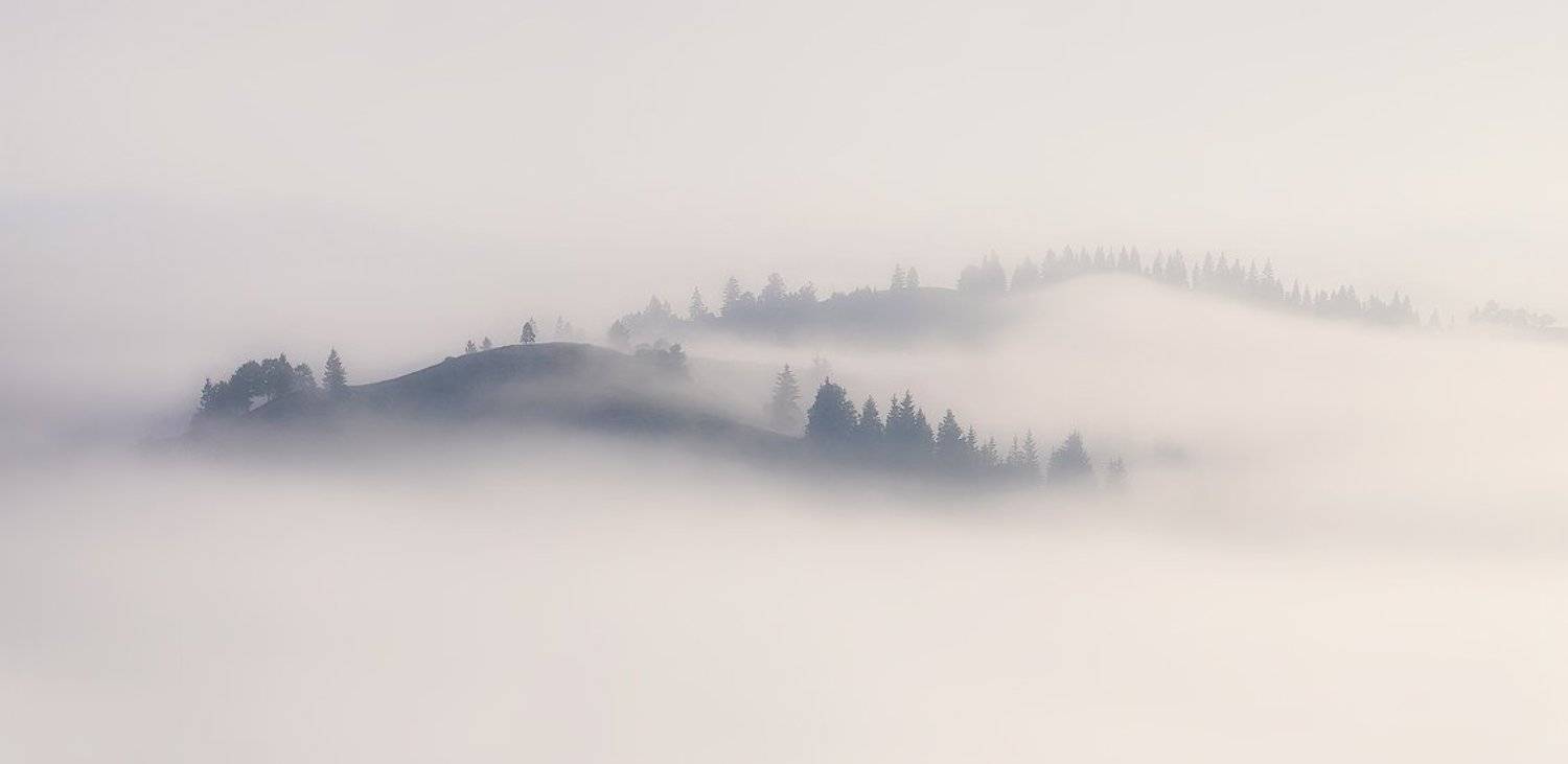 , Денис Кривой