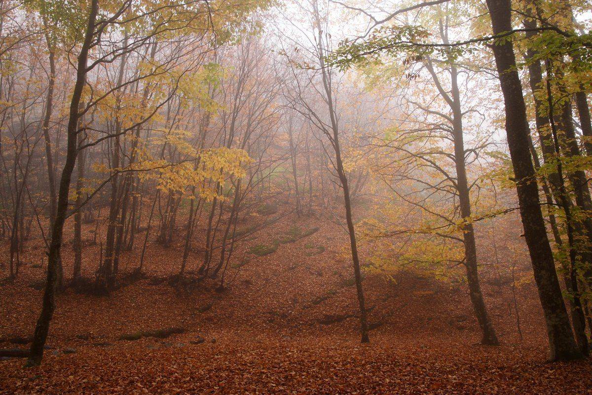 , Виталий Ра