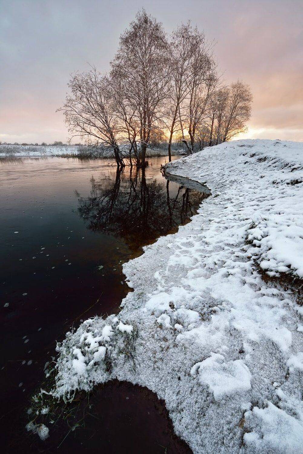 , Максим Евдокимов