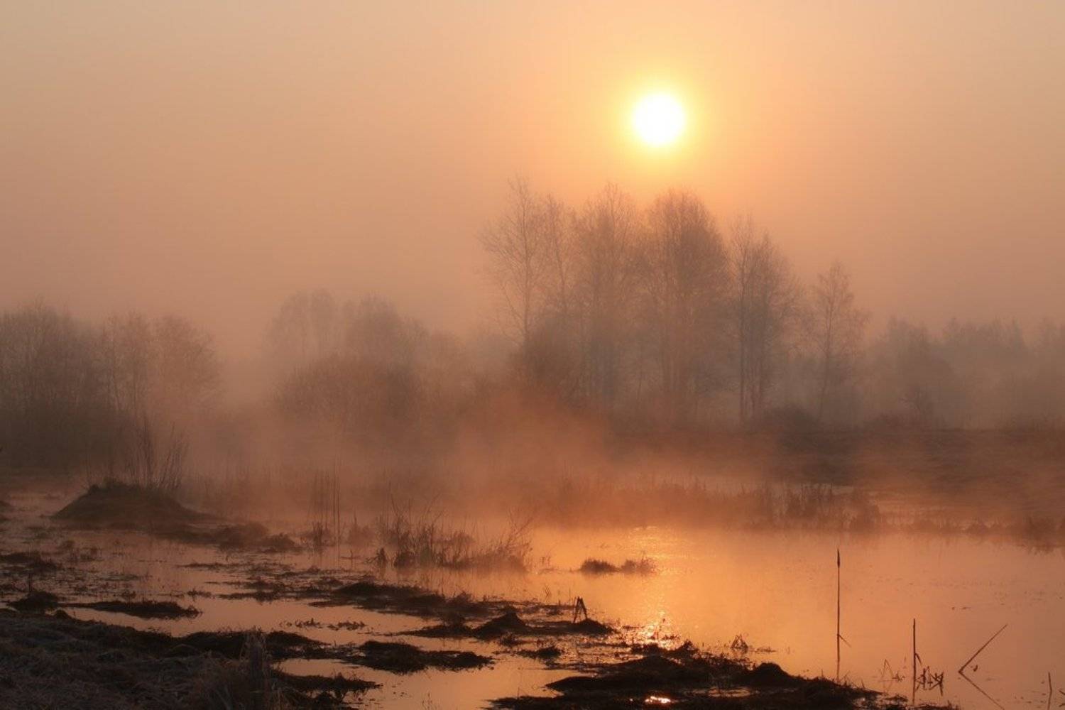 , Вилюнов Дмитрий