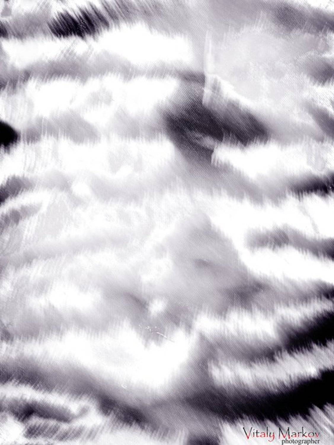 , Виталий Марков