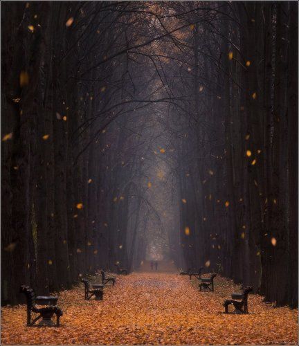 / Листопад /