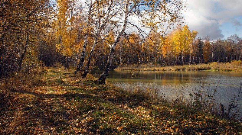 Осенняя зарисовка фото превью