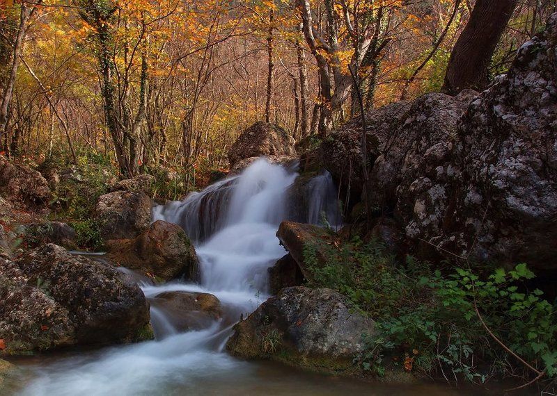 Осень не унять фото превью