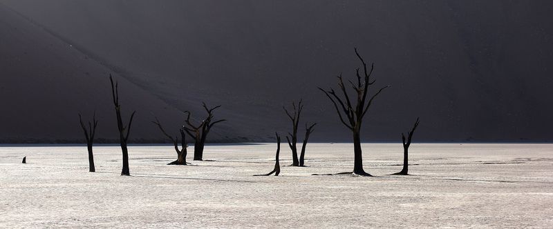 Герника фото превью