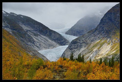 Nigardsbreen