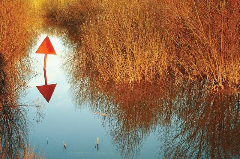 *************************** фото превью