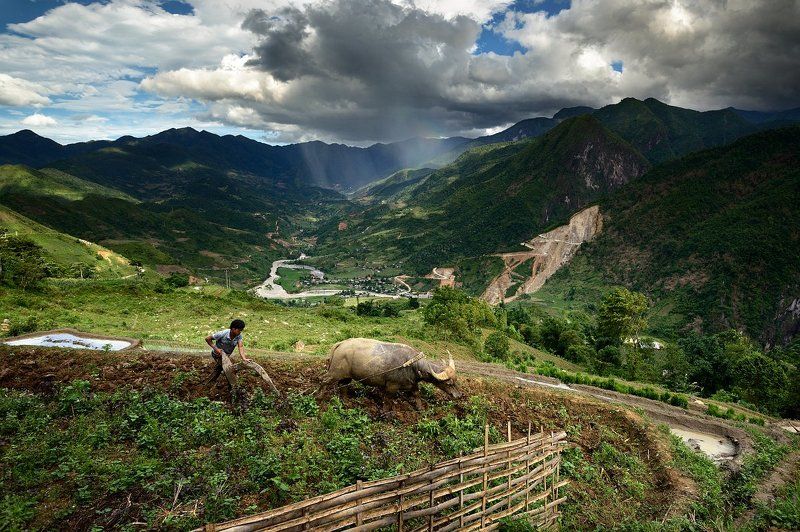 Один день из жизни современного крестьянина. фото превью