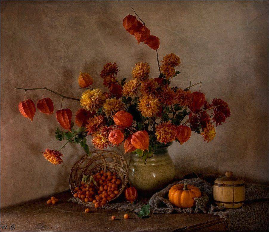 натюрморт, осень, цветы физалис облепиха рыжий сочный still life, autumn, flowers physalis buckthorn red juicy, El. G.