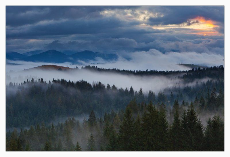 карпаты НОЯБРЬ В КАРПАТАХ фото превью