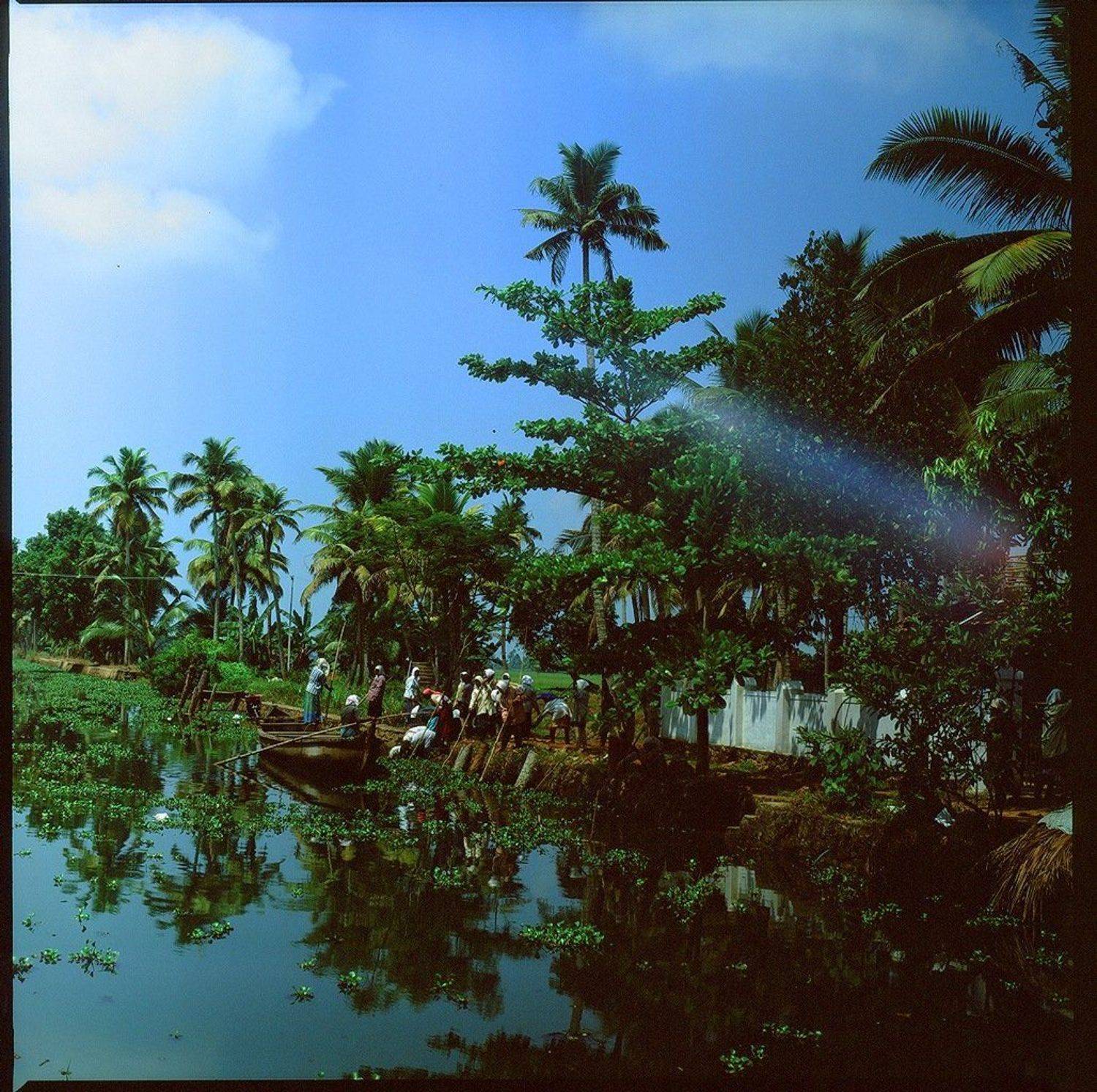 индия, backwaters, лодка, канал, пальма, Евгений Молодцов