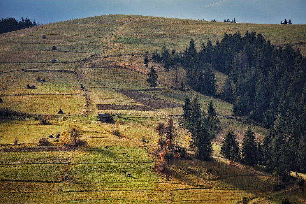 карпаты, ноябрь, осень, Вейзе Максим